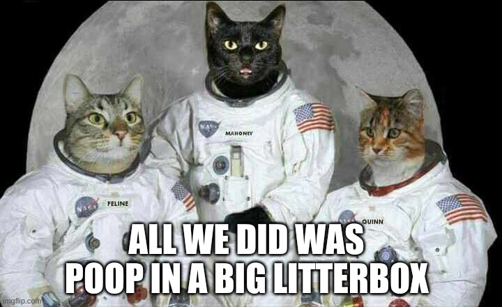 Cats in Space | ALL WE DID WAS POOP IN A BIG LITTERBOX | image tagged in cats,moon,stanley kubrick,litter box,fake,poop | made w/ Imgflip meme maker