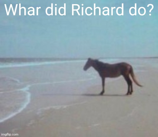 Horse on Beach Man | Whar did Richard do? | image tagged in horse on beach man | made w/ Imgflip meme maker