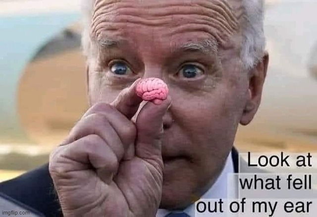 Joe had to be on something for the State of the Onion | image tagged in vince vance,joe biden,there's no brain here,brains,memes,stupid | made w/ Imgflip meme maker