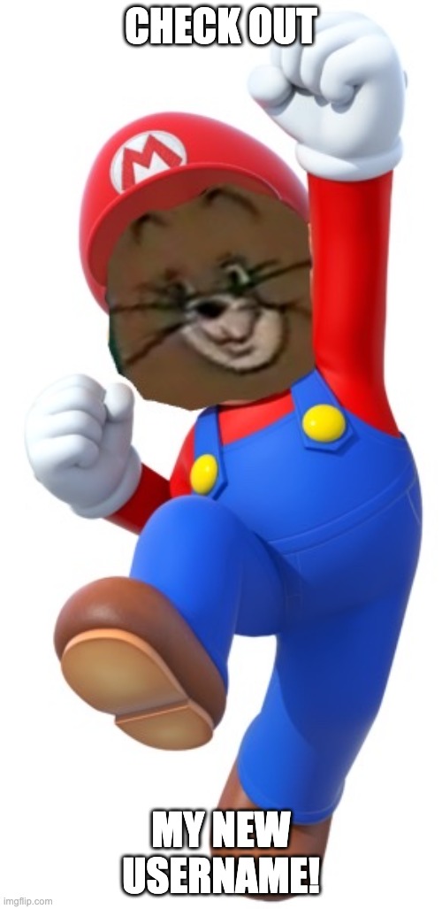 CHECK OUT; MY NEW USERNAME! | image tagged in mario jerry | made w/ Imgflip meme maker