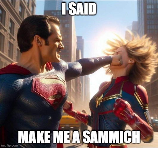 Superman | I SAID; MAKE ME A SAMMICH | image tagged in superman | made w/ Imgflip meme maker