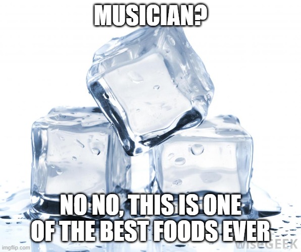 ice cubes | MUSICIAN? NO NO, THIS IS ONE OF THE BEST FOODS EVER | image tagged in ice cubes | made w/ Imgflip meme maker