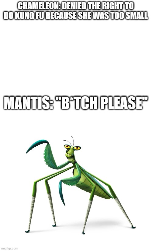 Kung Fu Panda 4 | CHAMELEON: DENIED THE RIGHT TO DO KUNG FU BECAUSE SHE WAS TOO SMALL; MANTIS: "B*TCH PLEASE" | image tagged in funny | made w/ Imgflip meme maker