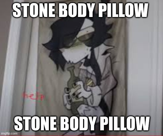 sadly i dont own it (mod note: the hell why do i want this) | STONE BODY PILLOW; STONE BODY PILLOW | made w/ Imgflip meme maker
