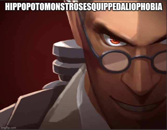 ㅤ | HIPPOPOTOMONSTROSESQUIPPEDALIOPHOBIA | image tagged in medic custom phobia | made w/ Imgflip meme maker