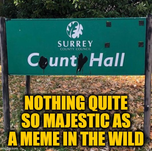 NOTHING QUITE SO MAJESTIC AS A MEME IN THE WILD | image tagged in meme,sign,uk,government,grafitti | made w/ Imgflip meme maker