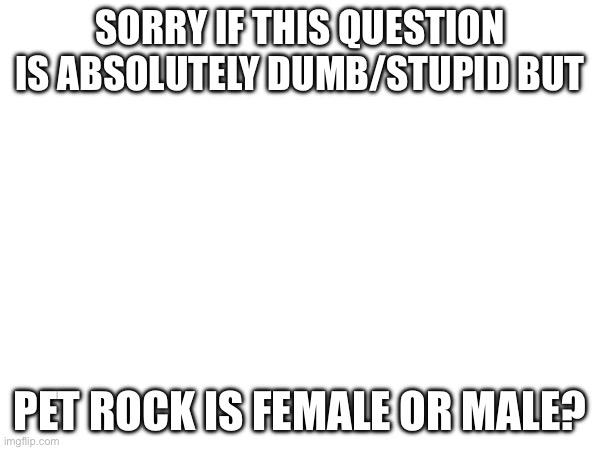 Sorry if this is dumb as hell | SORRY IF THIS QUESTION IS ABSOLUTELY DUMB/STUPID BUT; PET ROCK IS FEMALE OR MALE? | image tagged in idk | made w/ Imgflip meme maker