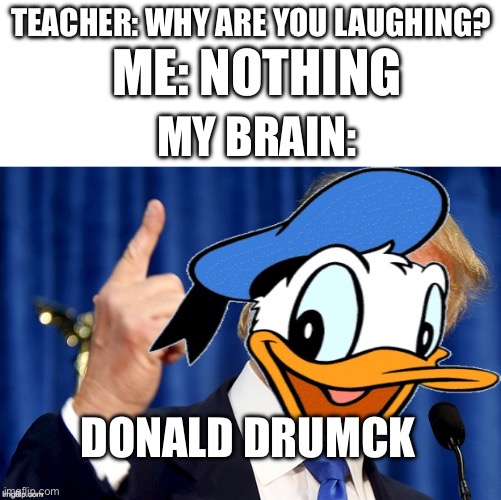 Title | TEACHER: WHY ARE YOU LAUGHING? ME: NOTHING; MY BRAIN:; DONALD DRUMCK | image tagged in donald duck trump,memes,teacher what are you laughing at | made w/ Imgflip meme maker
