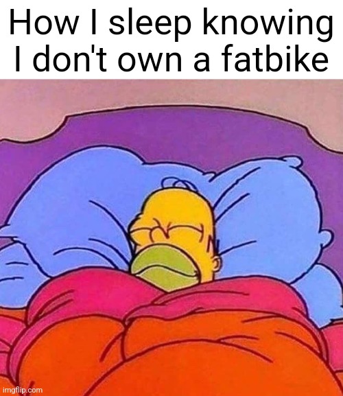 A while back some dude was riding a fatbike and almost hit an older dude and the older dude was like "wtf" | How I sleep knowing I don't own a fatbike | image tagged in homer simpson sleeping peacefully | made w/ Imgflip meme maker