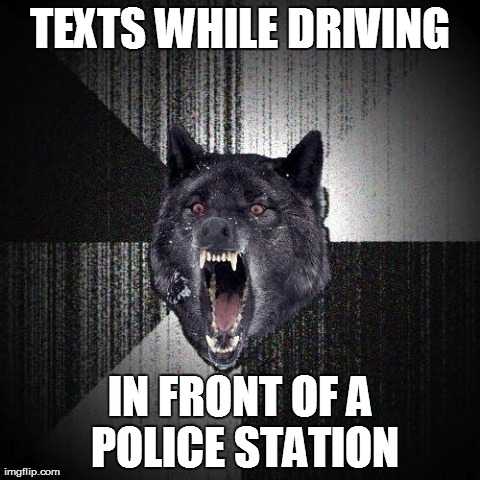 Insanity Wolf Meme | TEXTS WHILE DRIVING IN FRONT OF A POLICE STATION | image tagged in memes,insanity wolf,AdviceAnimals | made w/ Imgflip meme maker