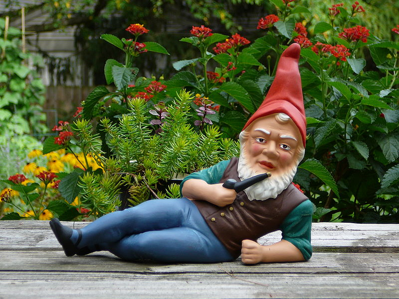 High Quality the judgemental gnome Blank Meme Template