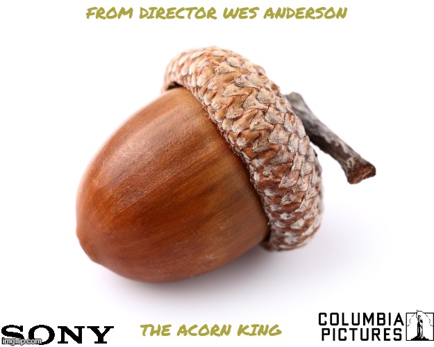 movies that might happen someday part 113 | FROM DIRECTOR WES ANDERSON; THE ACORN KING | image tagged in acorn,sony,r rated,comedy,fake | made w/ Imgflip meme maker