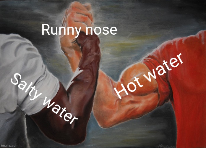 Flu time. | Runny nose; Hot water; Salty water | image tagged in memes,epic handshake | made w/ Imgflip meme maker