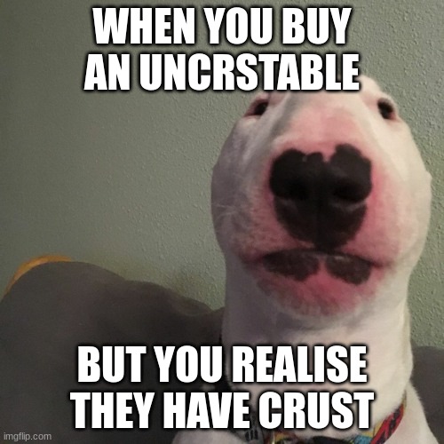 WHEN YOU BUY AN UNCRSTABLE; BUT YOU REALISE THEY HAVE CRUST | image tagged in bruh moment | made w/ Imgflip meme maker