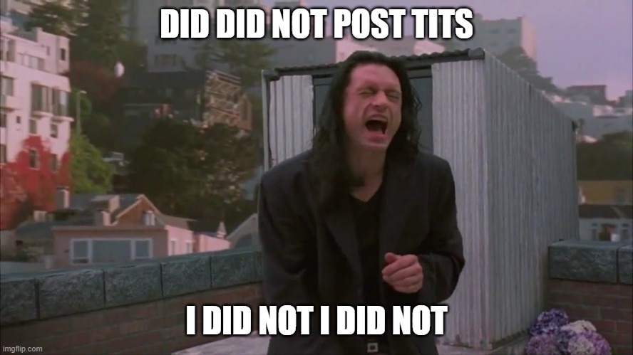 i did not hit her | DID DID NOT POST TITS I DID NOT I DID NOT | image tagged in i did not hit her | made w/ Imgflip meme maker