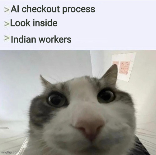 Cat looks inside | AI checkout process; Look inside; Indian workers | image tagged in cat looks inside | made w/ Imgflip meme maker