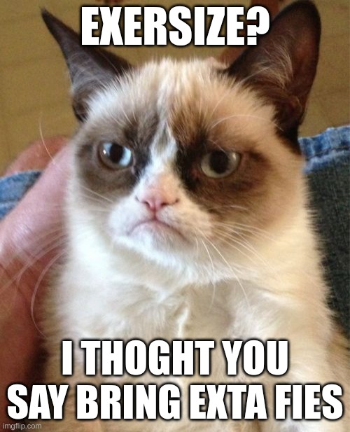 it's spelled bad on pupose | EXERSIZE? I THOGHT YOU SAY BRING EXTA FIES | image tagged in memes,grumpy cat | made w/ Imgflip meme maker