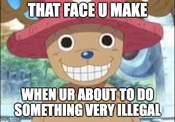 Chopper smiling | THAT FACE U MAKE; WHEN UR ABOUT TO DO SOMETHING VERY ILLEGAL | image tagged in chopper smiling | made w/ Imgflip meme maker