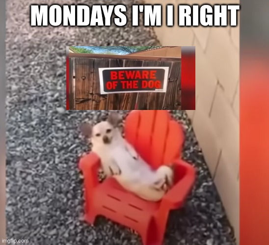 MONDAYS I'M I RIGHT | image tagged in memes | made w/ Imgflip meme maker