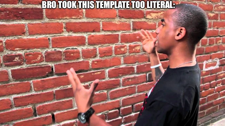 Talking to wall | BRO TOOK THIS TEMPLATE TOO LITERAL: | image tagged in talking to wall | made w/ Imgflip meme maker