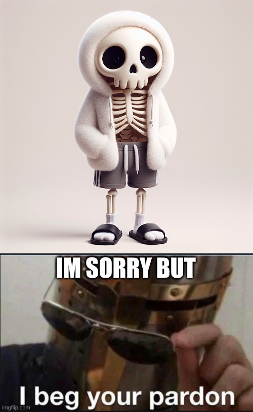 i didnt see that right | IM SORRY BUT | image tagged in totally not sans,i beg your pardon,hold up | made w/ Imgflip meme maker