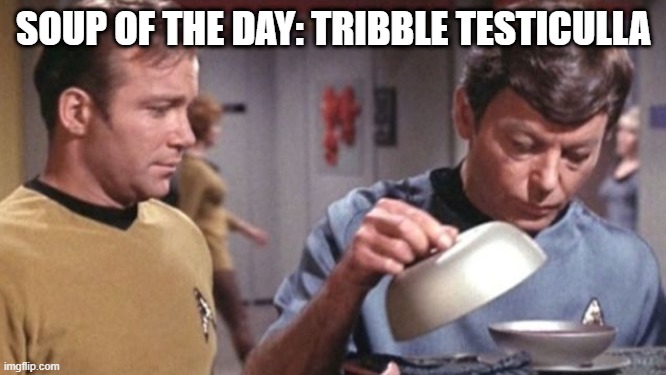 Who Wants Soup? | SOUP OF THE DAY: TRIBBLE TESTICULLA | image tagged in kirky mccoy soup de spock star trek | made w/ Imgflip meme maker