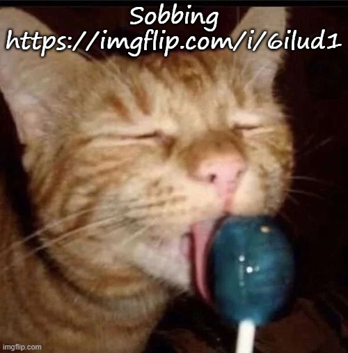 silly goober 2 | Sobbing
https://imgflip.com/i/6ilud1 | image tagged in silly goober 2 | made w/ Imgflip meme maker