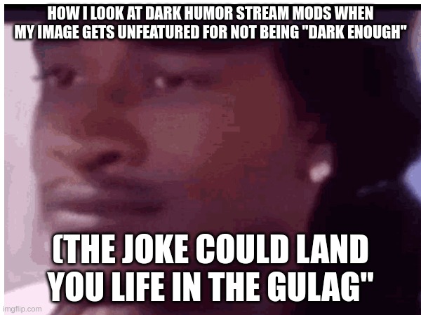 HOW I LOOK AT DARK HUMOR STREAM MODS WHEN MY IMAGE GETS UNFEATURED FOR NOT BEING "DARK ENOUGH"; (THE JOKE COULD LAND YOU LIFE IN THE GULAG" | image tagged in dark humor | made w/ Imgflip meme maker