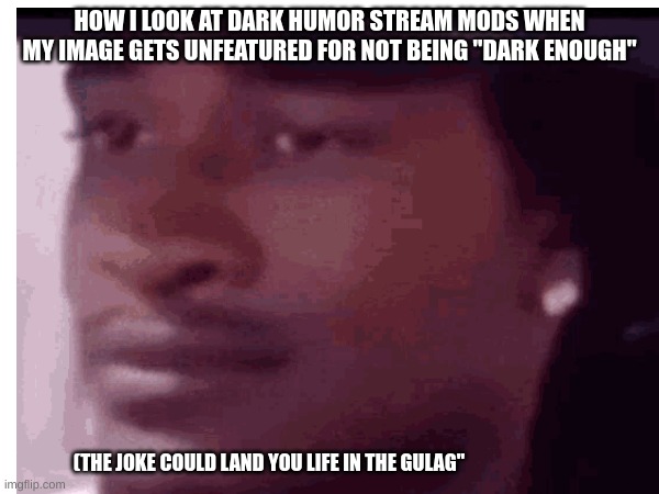 HOW I LOOK AT DARK HUMOR STREAM MODS WHEN MY IMAGE GETS UNFEATURED FOR NOT BEING "DARK ENOUGH"; (THE JOKE COULD LAND YOU LIFE IN THE GULAG" | made w/ Imgflip meme maker