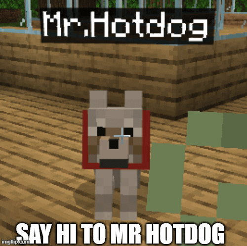Mr Hotdog *Dog* | SAY HI TO MR HOTDOG | image tagged in gifs,hotdog,funny,meme,dog,minecraft | made w/ Imgflip images-to-gif maker