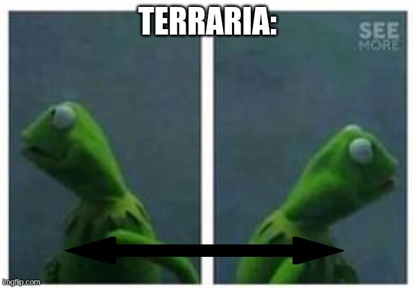 Kermit looking left and right | TERRARIA: | image tagged in kermit looking left and right | made w/ Imgflip meme maker