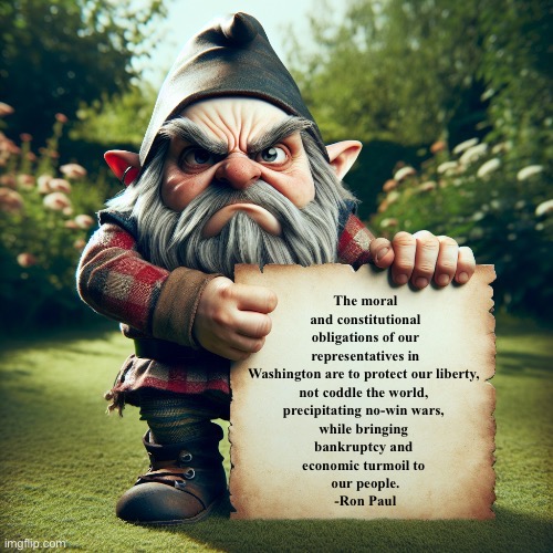 Gnome with sign | The moral and constitutional obligations of our representatives in Washington are to protect our liberty, 
not coddle the world, 
precipitating no-win wars, 
while bringing 
bankruptcy and 
economic turmoil to 
our people.
-Ron Paul | image tagged in gnome with sign | made w/ Imgflip meme maker