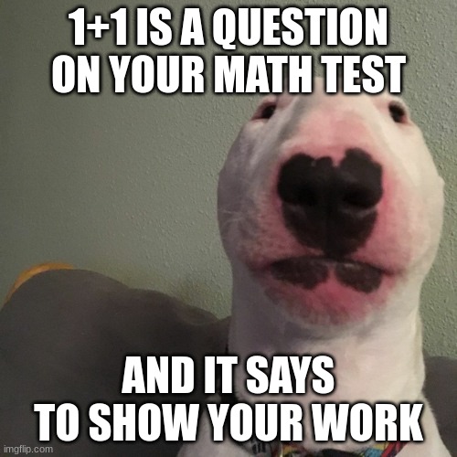 !+! | 1+1 IS A QUESTION ON YOUR MATH TEST; AND IT SAYS TO SHOW YOUR WORK | image tagged in math meme | made w/ Imgflip meme maker
