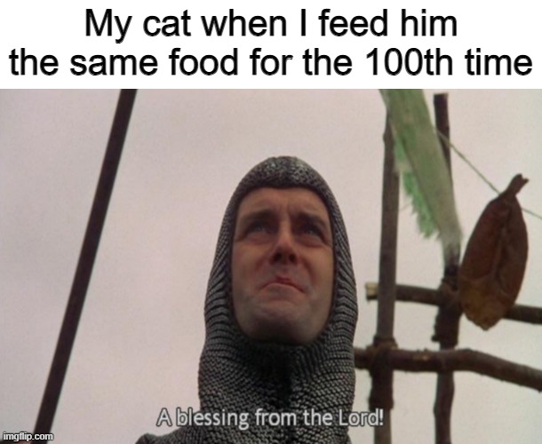 I think we all can agree on this | My cat when I feed him the same food for the 100th time | image tagged in a blessing from the lord,memes,funny,cats,relatable memes | made w/ Imgflip meme maker