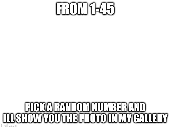 FROM 1-45; PICK A RANDOM NUMBER AND ILL SHOW YOU THE PHOTO IN MY GALLERY | made w/ Imgflip meme maker