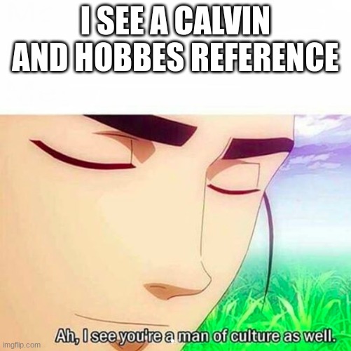 Ah,I see you are a man of culture as well | I SEE A CALVIN AND HOBBES REFERENCE | image tagged in ah i see you are a man of culture as well | made w/ Imgflip meme maker