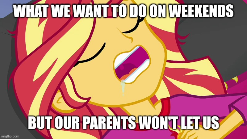 Our parents don't like it when we sleep in on the weekends | WHAT WE WANT TO DO ON WEEKENDS; BUT OUR PARENTS WON'T LET US | image tagged in mlp equestria girls,sunset shimmer,no sleeping in,weekend | made w/ Imgflip meme maker