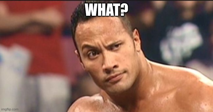 The Rock Eyebrow | WHAT? | image tagged in the rock eyebrow | made w/ Imgflip meme maker