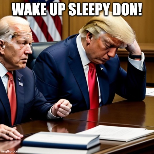 Sleepy Joe Biden | WAKE UP SLEEPY DON! | image tagged in donald trump,courtroom,sleepy don | made w/ Imgflip meme maker