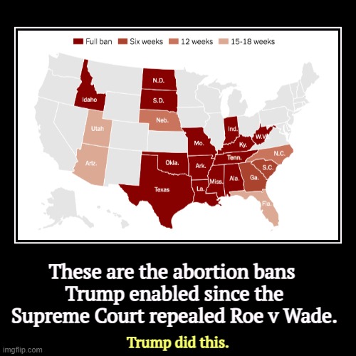 Trump owns them all. The American public has demonstrated at the polls they hate the post-Dobbs restrictions. Trump owns it all. | These are the abortion bans 
Trump enabled since the Supreme Court repealed Roe v Wade. | Trump did this. | image tagged in funny,demotivationals,womens rights,health,politicians suck,abortion | made w/ Imgflip demotivational maker