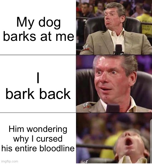 DAWG. | My dog barks at me; I bark back; Him wondering why I cursed his entire bloodline | image tagged in mcmahon | made w/ Imgflip meme maker
