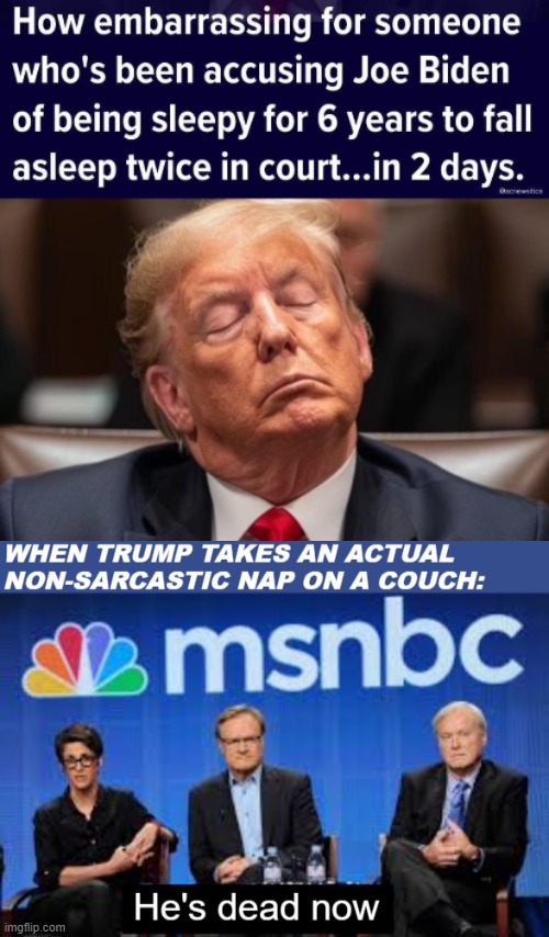 image tagged in american politics,donald trump,msnbc hosts are stupid | made w/ Imgflip meme maker