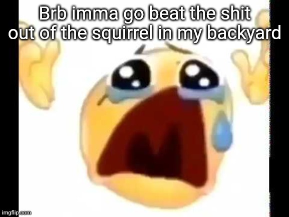 cursed crying emoji | Brb imma go beat the shit out of the squirrel in my backyard | image tagged in cursed crying emoji | made w/ Imgflip meme maker