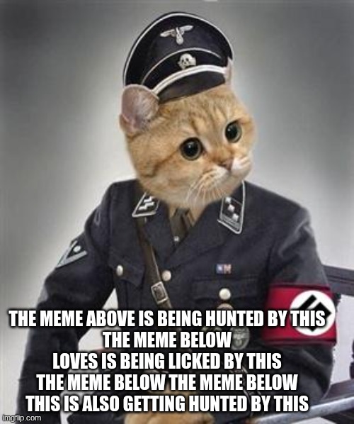 Grammar Nazi Cat | THE MEME ABOVE IS BEING HUNTED BY THIS
THE MEME BELOW LOVES IS BEING LICKED BY THIS
THE MEME BELOW THE MEME BELOW THIS IS ALSO GETTING HUNTED BY THIS | image tagged in grammar nazi cat | made w/ Imgflip meme maker