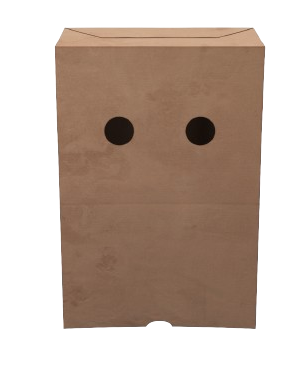 paper bag Blank Meme Template