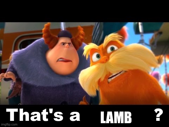 That's a Woman | LAMB | image tagged in that's a woman | made w/ Imgflip meme maker