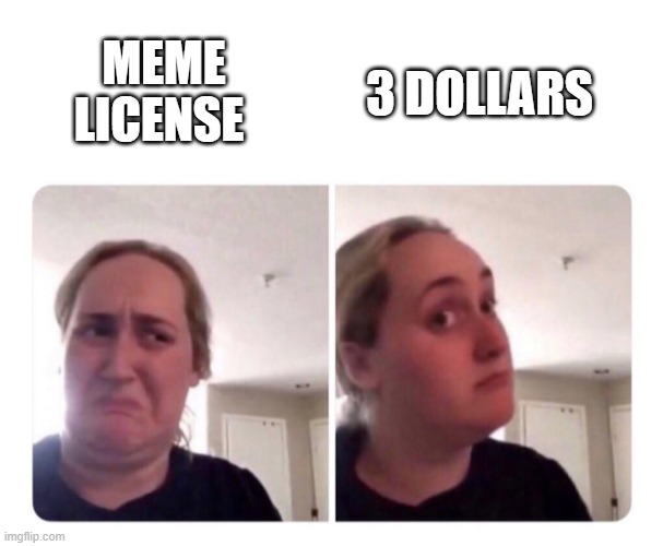 MEME LICENSE 3 DOLLARS | image tagged in no yes lady | made w/ Imgflip meme maker
