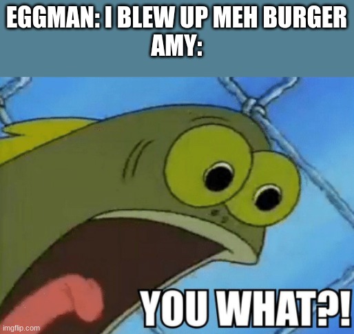 Amy's Real Reaction to this | EGGMAN: I BLEW UP MEH BURGER
AMY: | image tagged in you what,sonic,sonic the hedgehog,sonic boom | made w/ Imgflip meme maker