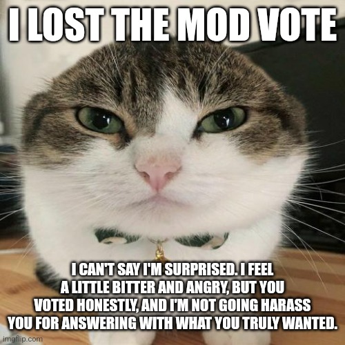 :/ | I LOST THE MOD VOTE; I CAN'T SAY I'M SURPRISED. I FEEL A LITTLE BITTER AND ANGRY, BUT YOU VOTED HONESTLY, AND I'M NOT GOING HARASS YOU FOR ANSWERING WITH WHAT YOU TRULY WANTED. | image tagged in wawa cat | made w/ Imgflip meme maker