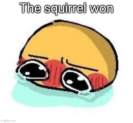 amb shamb bbbmba | The squirrel won | image tagged in amb shamb bbbmba | made w/ Imgflip meme maker